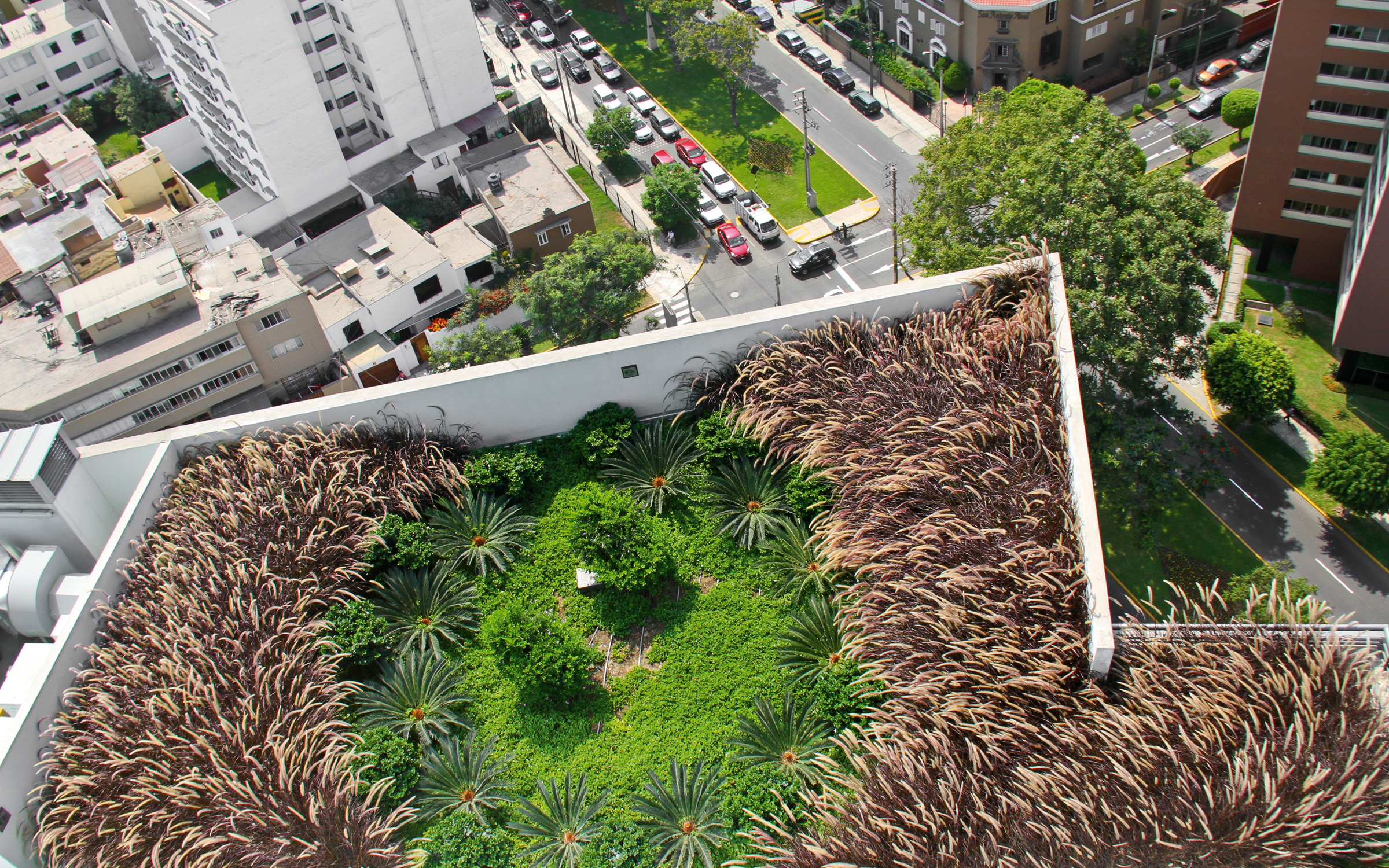 The Leuro Business Centre is the first sustainable building in Peru. Bird's eye view of a roof garden with ornamental grasses and small palm trees